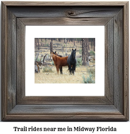 trail rides near me in Midway, Florida